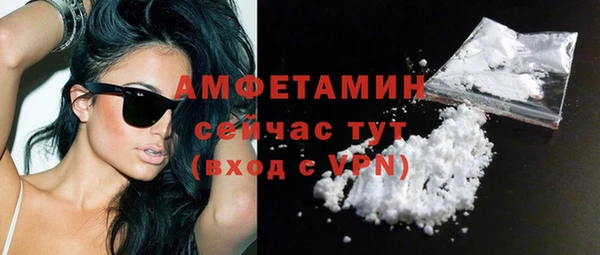 шишки Бикин