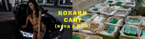 шишки Бикин
