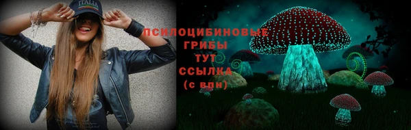 шишки Бикин