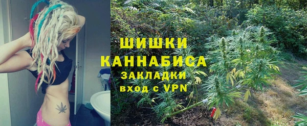 спайс Нея
