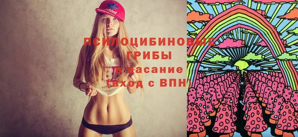 шишки Бикин