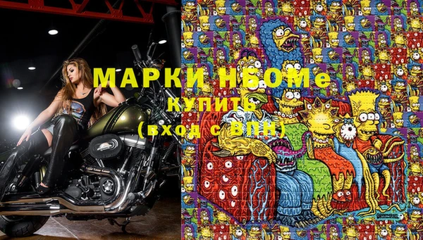 шишки Бикин