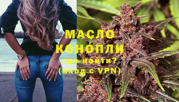 гидра Коряжма