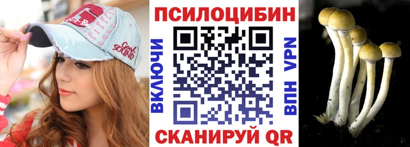 мориарти наркотические препараты  Зуевка  Псилоцибиновые грибы Psilocybine cubensis 