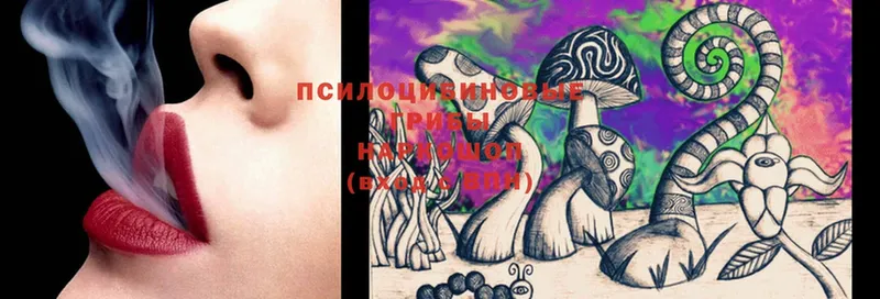 наркошоп  Зуевка  Галлюциногенные грибы Psilocybine cubensis 